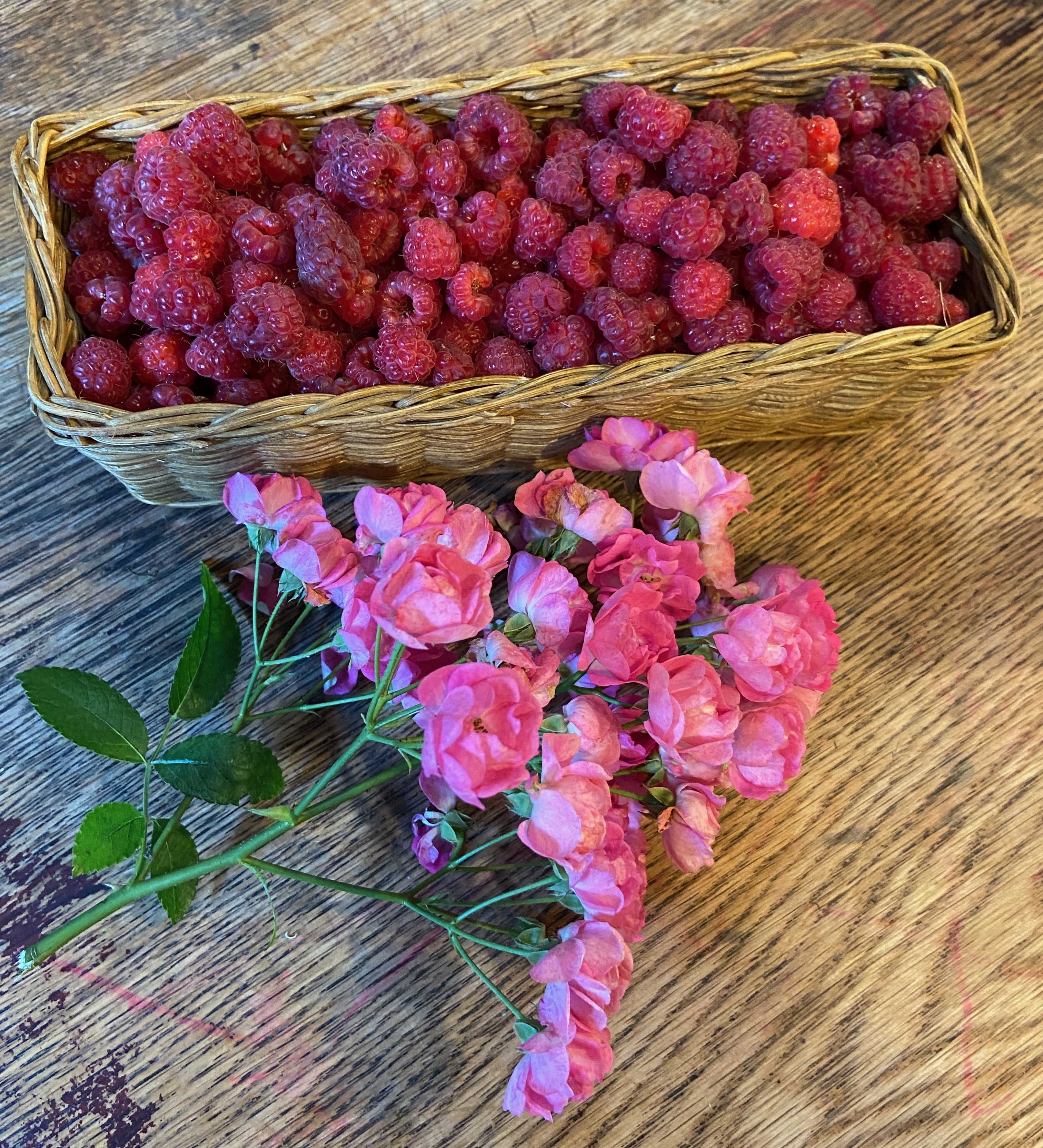 “Raspberries and Roses”