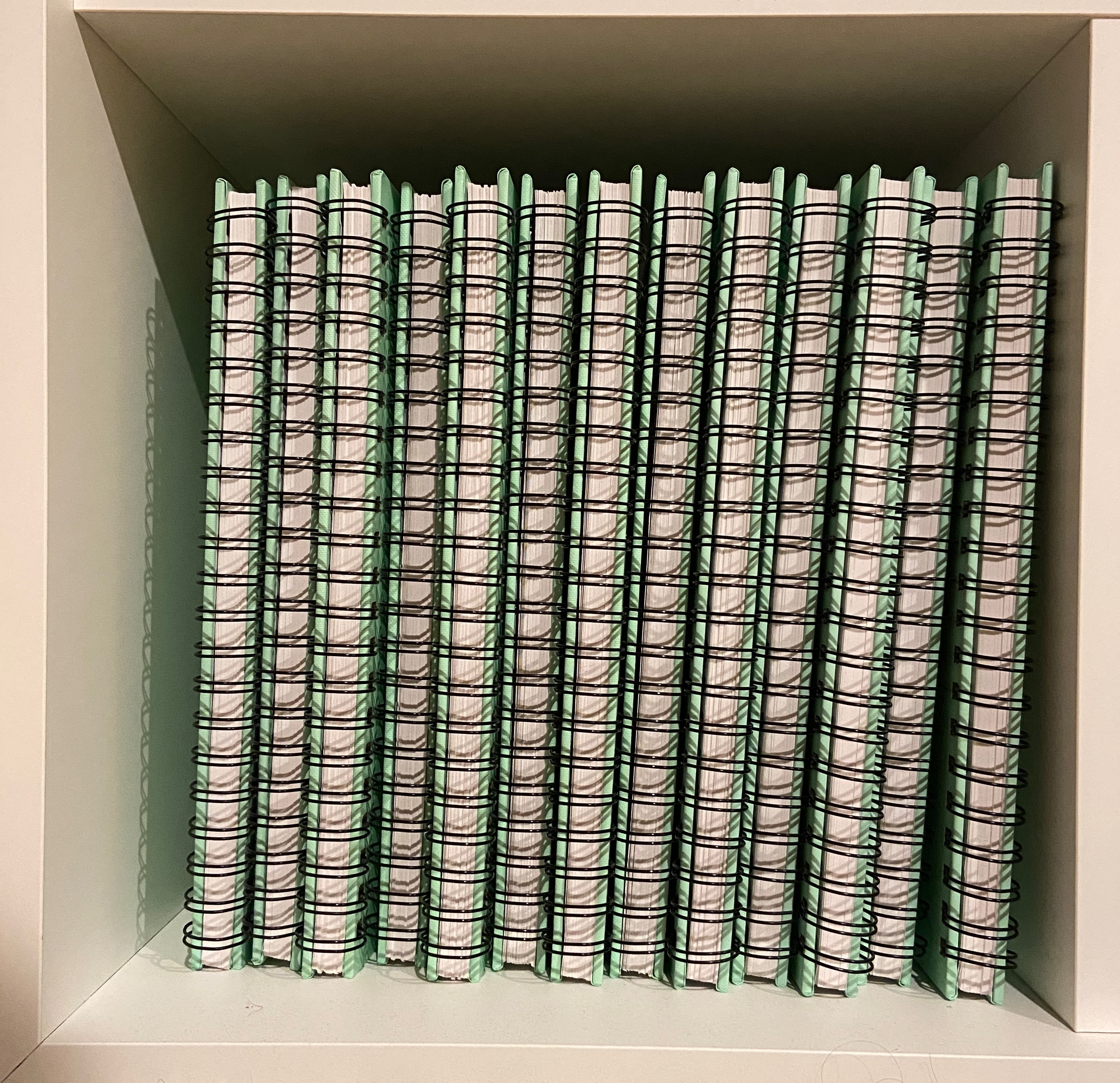 “My Notebooks for Math Academy II”